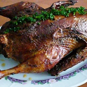 Kachnička do vany - pokus